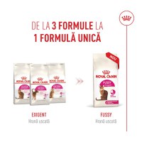 ROYAL CANIN Feline Health Nutrition Fussy, hrană uscată pisici, apetit capricios, 400g - 10