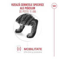 ROYAL CANIN Feline Health Nutrition Healthy Ageing 11+, hrană uscată pisici senior, 400g - 4