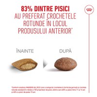 ROYAL CANIN Feline Health Nutrition Healthy Ageing 11+, hrană uscată pisici senior, 400g - 7