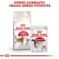 ROYAL CANIN Fit32 Adult, hrană uscată pisici, activitate fizică moderată, 400g - 8