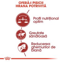 ROYAL CANIN Fit32 Adult, hrană uscată pisici, activitate fizică moderată, 400g - 4