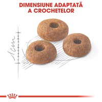 ROYAL CANIN Fit32 Adult, hrană uscată pisici, activitate fizică moderată, 400g - 5