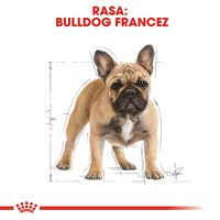 ROYAL CANIN French Bulldog Adult, hrană uscată câini, 3kg - 4