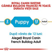 ROYAL CANIN French Bulldog Puppy, hrană uscată câini junior, 3kg - 9