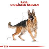 ROYAL CANIN German Shepherd Adult, hrană uscată câini, 3kg - 4