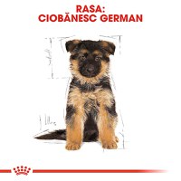 ROYAL CANIN German Shepherd Puppy, hrană uscată câini junior, 12kg - 4