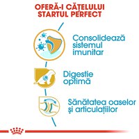 ROYAL CANIN German Shepherd Puppy, hrană uscată câini junior, 12kg - 5