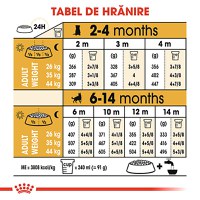 ROYAL CANIN German Shepherd Puppy, hrană uscată câini junior, 12kg - 8
