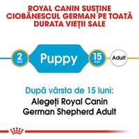 ROYAL CANIN German Shepherd Puppy, hrană uscată câini junior, 12kg - 9