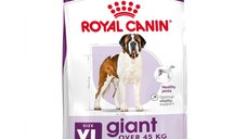 ROYAL CANIN Giant Adult, hrană uscată câini, 15kg