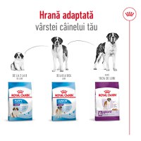 ROYAL CANIN Giant Adult, hrană uscată câini, 15kg - 10