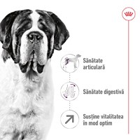 ROYAL CANIN Giant Adult, hrană uscată câini, 15kg - 4