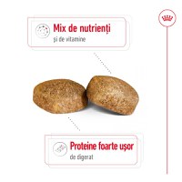 ROYAL CANIN Giant Adult, hrană uscată câini, 15kg - 5