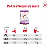 ROYAL CANIN Giant Adult, hrană uscată câini, 15kg - 8