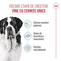 ROYAL CANIN Giant Junior, hrană uscată câini junior, etapa 2 de creștere, 15kg - 4