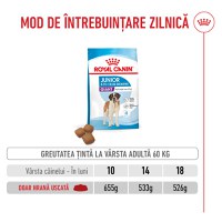 ROYAL CANIN Giant Junior, hrană uscată câini junior, etapa 2 de creștere, 15kg - 8