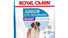 ROYAL CANIN Giant Junior, hrană uscată câini junior, etapa 2 de creștere, 3.5kg