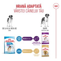 ROYAL CANIN Giant Junior, hrană uscată câini junior, etapa 2 de creștere, 3.5kg - 10