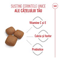 ROYAL CANIN Giant Junior, hrană uscată câini junior, etapa 2 de creștere, 3.5kg - 5