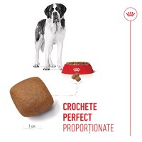 ROYAL CANIN Giant Junior, hrană uscată câini junior, etapa 2 de creștere, 3.5kg - 6