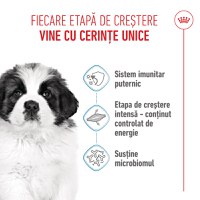ROYAL CANIN Giant Puppy, hrană uscată câini junior, etapa 1 de creștere, 15kg - 4