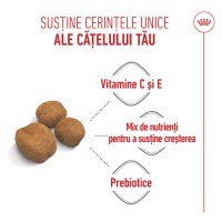 ROYAL CANIN Giant Puppy, hrană uscată câini junior, etapa 1 de creștere, 15kg - 5