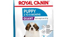 ROYAL CANIN Giant Puppy, hrană uscată câini junior, etapa 1 de creștere, 1kg