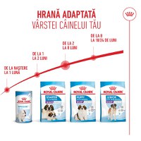 ROYAL CANIN Giant Puppy, hrană uscată câini junior, etapa 1 de creștere, 1kg - 10