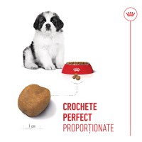 ROYAL CANIN Giant Puppy, hrană uscată câini junior, etapa 1 de creștere, 1kg - 6
