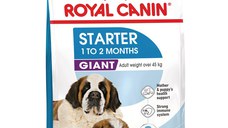 ROYAL CANIN Giant Starter Mother & Babydog, mama și puiul, hrană uscată câini, 15kg