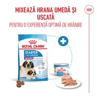 ROYAL CANIN Giant Starter Mother & Babydog, mama și puiul, hrană uscată câini, 15kg - 10