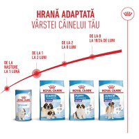 ROYAL CANIN Giant Starter Mother & Babydog, mama și puiul, hrană uscată câini, 15kg - 11