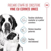 ROYAL CANIN Giant Starter Mother & Babydog, mama și puiul, hrană uscată câini, 15kg - 4