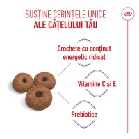 ROYAL CANIN Giant Starter Mother & Babydog, mama și puiul, hrană uscată câini, 15kg - 5