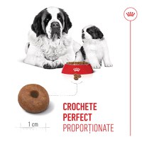 ROYAL CANIN Giant Starter Mother & Babydog, mama și puiul, hrană uscată câini, 15kg - 6