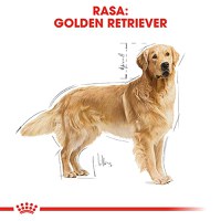 ROYAL CANIN Golden Retriever Adult, hrană uscată câini, 12kg - 4