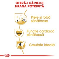 ROYAL CANIN Golden Retriever Adult, hrană uscată câini, 12kg - 5