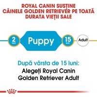 Royal Canin Golden Retriever Puppy, hrană uscată câini junior, 12kg - 4