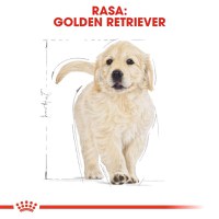 Royal Canin Golden Retriever Puppy, hrană uscată câini junior, 12kg - 2