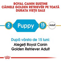 ROYAL CANIN Golden Retriever Puppy, hrană uscată câini junior, 12kg - 9