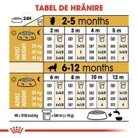 ROYAL CANIN Golden Retriever Puppy, hrană uscată câini junior, 1kg - 8
