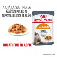 ROYAL CANIN Hair&Skin Care Adult hrană umedă pisici piele & blană (în aspic), 85g - 2