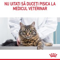 ROYAL CANIN Hair & Skin Care Adult, hrană umedă pisici, piele & blană, (în sos), bax, 85g x 12buc - 9