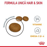 ROYAL CANIN Hair & Skin Care Adult, hrană uscată pisici, piele & blană, 400g - 4