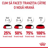 ROYAL CANIN Hairball Care Adult, hrană umedă pisici, limitarea ghemurilor de blană, (în sos), 85g - 7