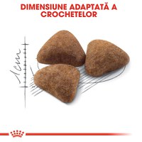 ROYAL CANIN Indoor Adult, hrană uscată pisici, de interior, 4kg - 5