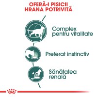 ROYAL CANIN Instinctive 7+, hrană umedă pisici, (în sos), 85g - 3