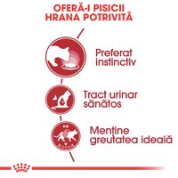ROYAL CANIN Instinctive Adult, hrană umedă pisici, (în sos), 85g - 3