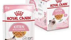 ROYAL CANIN Kitten, hrană umedă pisici, (în aspic), bax, 85g x 12buc