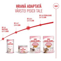 ROYAL CANIN Kitten, hrană umedă pisici, (în aspic), bax, 85g x 12buc - 8